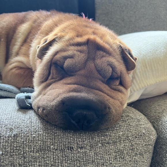 Meet your Posher, Kimberly - Picture 2 of 3